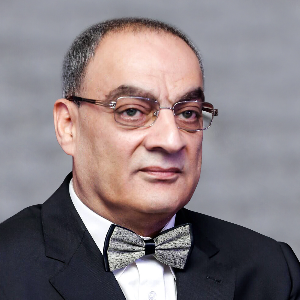 M. Amr Sadik